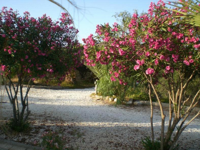 Casas Rurales Cortijo Torreblanca Parque Cabo De Gata El Pozo de los Frailes Exterior foto